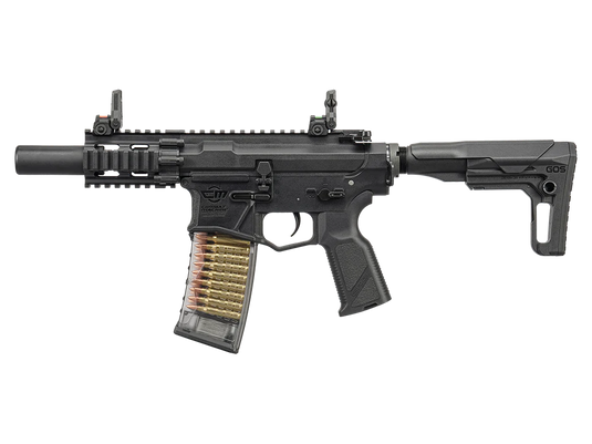 G&G CM16 GMS SBR AEG